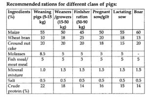Chart showing recommended rations for pigs