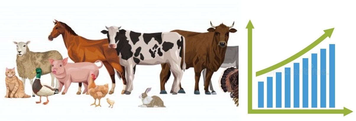 Livestock Production Statistics of India – 2020 - Vet Extension