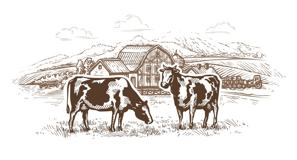 Major Animal Husbandry & Fisheries Infrastructure Development Schemes in India - Vet Extension Major Animal Husbandry & Fisheries Infrastructure Development Schemes in India - Vet Extension